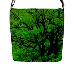 Big Trees, El Leoncito National Park, San Juan, Argentina Flap Closure Messenger Bag (l) by dflcprintsclothing