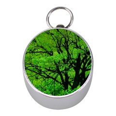 Big Trees, El Leoncito National Park, San Juan, Argentina Mini Silver Compasses by dflcprintsclothing