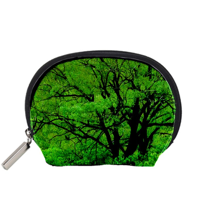 Big Trees, El Leoncito National Park, San Juan, Argentina Accessory Pouch (Small)