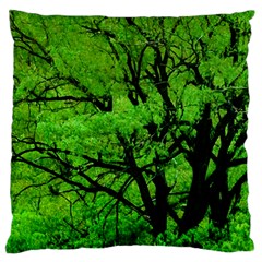 Big Trees, El Leoncito National Park, San Juan, Argentina Standard Flano Cushion Case (one Side) by dflcprintsclothing