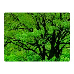 Big Trees, El Leoncito National Park, San Juan, Argentina Double Sided Flano Blanket (mini)  by dflcprintsclothing