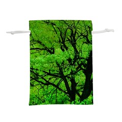 Big Trees, El Leoncito National Park, San Juan, Argentina Lightweight Drawstring Pouch (s) by dflcprintsclothing