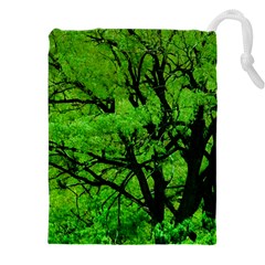 Big Trees, El Leoncito National Park, San Juan, Argentina Drawstring Pouch (5xl) by dflcprintsclothing