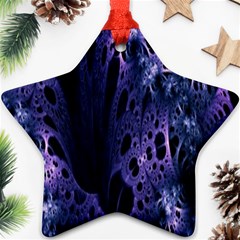 Fractal Web Ornament (star) by Sparkle