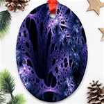 Fractal Web Oval Ornament (Two Sides) Back