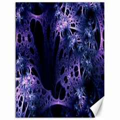 Fractal Web Canvas 12  X 16  by Sparkle