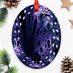 Fractal Web Oval Filigree Ornament (two Sides) by Sparkle