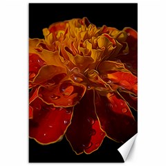 Marigold On Black Canvas 12  X 18  by MichaelMoriartyPhotography