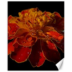 Marigold On Black Canvas 16  X 20  by MichaelMoriartyPhotography