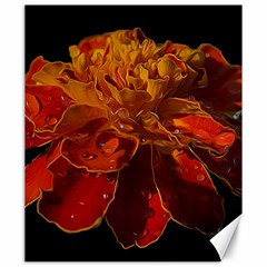 Marigold On Black Canvas 20  X 24  by MichaelMoriartyPhotography