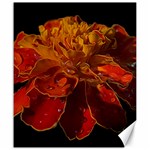 Marigold on Black Canvas 20  x 24  19.57 x23.15  Canvas - 1