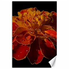 Marigold On Black Canvas 24  X 36  by MichaelMoriartyPhotography