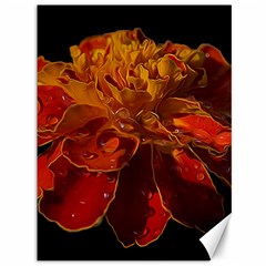 Marigold On Black Canvas 36  X 48  by MichaelMoriartyPhotography