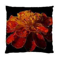 Marigold On Black Standard Cushion Case (two Sides) by MichaelMoriartyPhotography