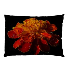 Marigold On Black Pillow Case by MichaelMoriartyPhotography