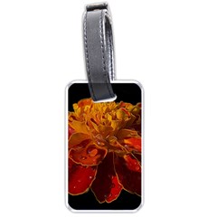 Marigold On Black Luggage Tag (one Side) by MichaelMoriartyPhotography