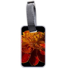 Marigold On Black Luggage Tag (two Sides) by MichaelMoriartyPhotography