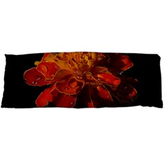 Marigold On Black Body Pillow Case Dakimakura (two Sides) by MichaelMoriartyPhotography