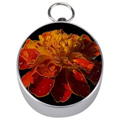 Marigold On Black Silver Compasses by MichaelMoriartyPhotography