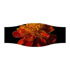 Marigold On Black Stretchable Headband by MichaelMoriartyPhotography