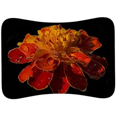 Marigold On Black Velour Seat Head Rest Cushion by MichaelMoriartyPhotography