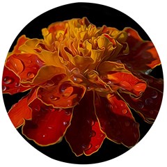 Marigold On Black Wooden Bottle Opener (round) by MichaelMoriartyPhotography