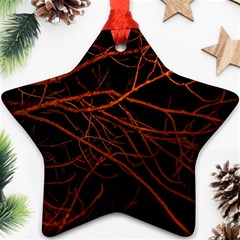 Dark Forest Scene Print Star Ornament (two Sides) by dflcprintsclothing