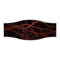 Dark Forest Scene Print Stretchable Headband by dflcprintsclothing