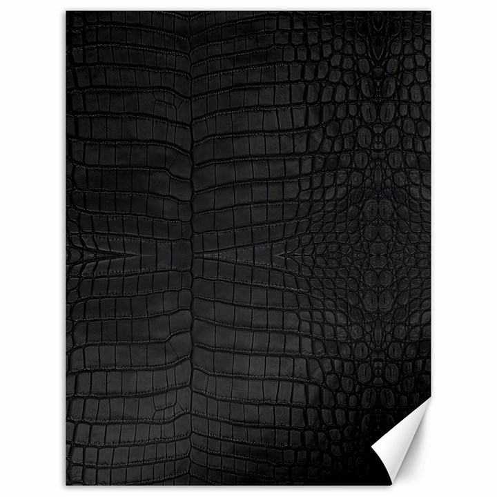 Black Crocodile Skin Canvas 12  x 16 