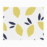 Laser Lemons Small Glasses Cloth (2 Sides) Front