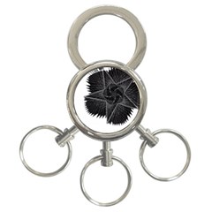 Black Rose 3-ring Key Chain by Sabelacarlos