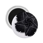 Black Rose 2.25  Magnets Front