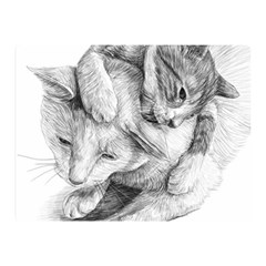 Cat Drawing Art Double Sided Flano Blanket (mini) 