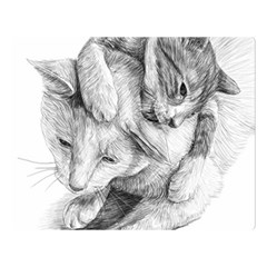 Cat Drawing Art Double Sided Flano Blanket (large) 