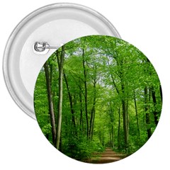 In The Forest The Fullness Of Spring, Green, 3  Buttons by MartinsMysteriousPhotographerShop