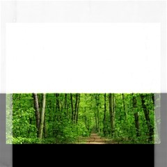 In The Forest The Fullness Of Spring, Green, Rectangular Jigsaw Puzzl by MartinsMysteriousPhotographerShop