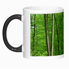 In The Forest The Fullness Of Spring, Green, Morph Mugs by MartinsMysteriousPhotographerShop