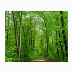 In the forest the fullness of spring, green, Small Glasses Cloth Front