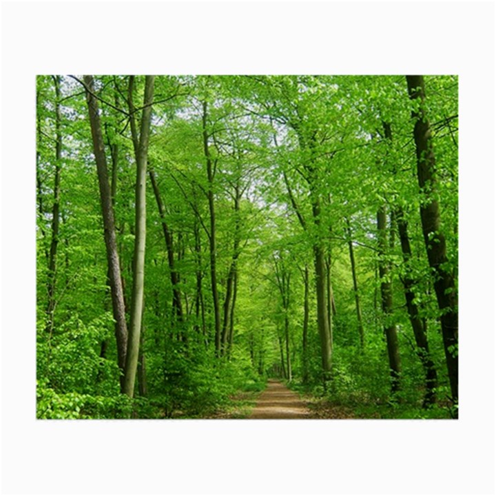 In the forest the fullness of spring, green, Small Glasses Cloth