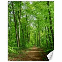 In The Forest The Fullness Of Spring, Green, Canvas 12  X 16  by MartinsMysteriousPhotographerShop