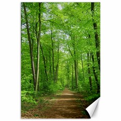 In The Forest The Fullness Of Spring, Green, Canvas 12  X 18  by MartinsMysteriousPhotographerShop