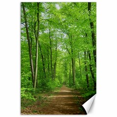 In The Forest The Fullness Of Spring, Green, Canvas 24  X 36  by MartinsMysteriousPhotographerShop