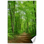 In the forest the fullness of spring, green, Canvas 24  x 36  23.35 x34.74  Canvas - 1