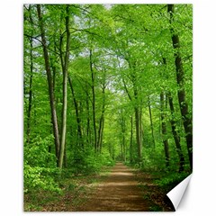 In The Forest The Fullness Of Spring, Green, Canvas 11  X 14  by MartinsMysteriousPhotographerShop