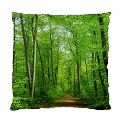 In The Forest The Fullness Of Spring, Green, Standard Cushion Case (one Side)