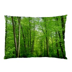 In The Forest The Fullness Of Spring, Green, Pillow Case