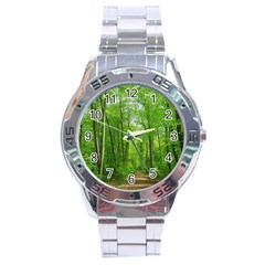 In The Forest The Fullness Of Spring, Green, Stainless Steel Analogue Watch by MartinsMysteriousPhotographerShop