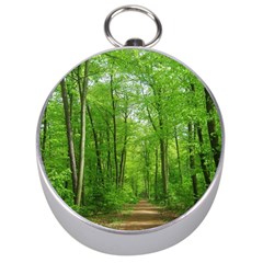 In The Forest The Fullness Of Spring, Green, Silver Compasses by MartinsMysteriousPhotographerShop