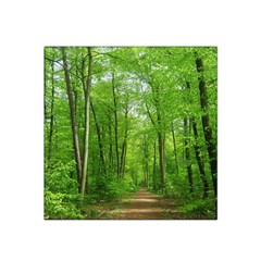 In The Forest The Fullness Of Spring, Green, Satin Bandana Scarf