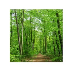 In The Forest The Fullness Of Spring, Green, Small Satin Scarf (square)